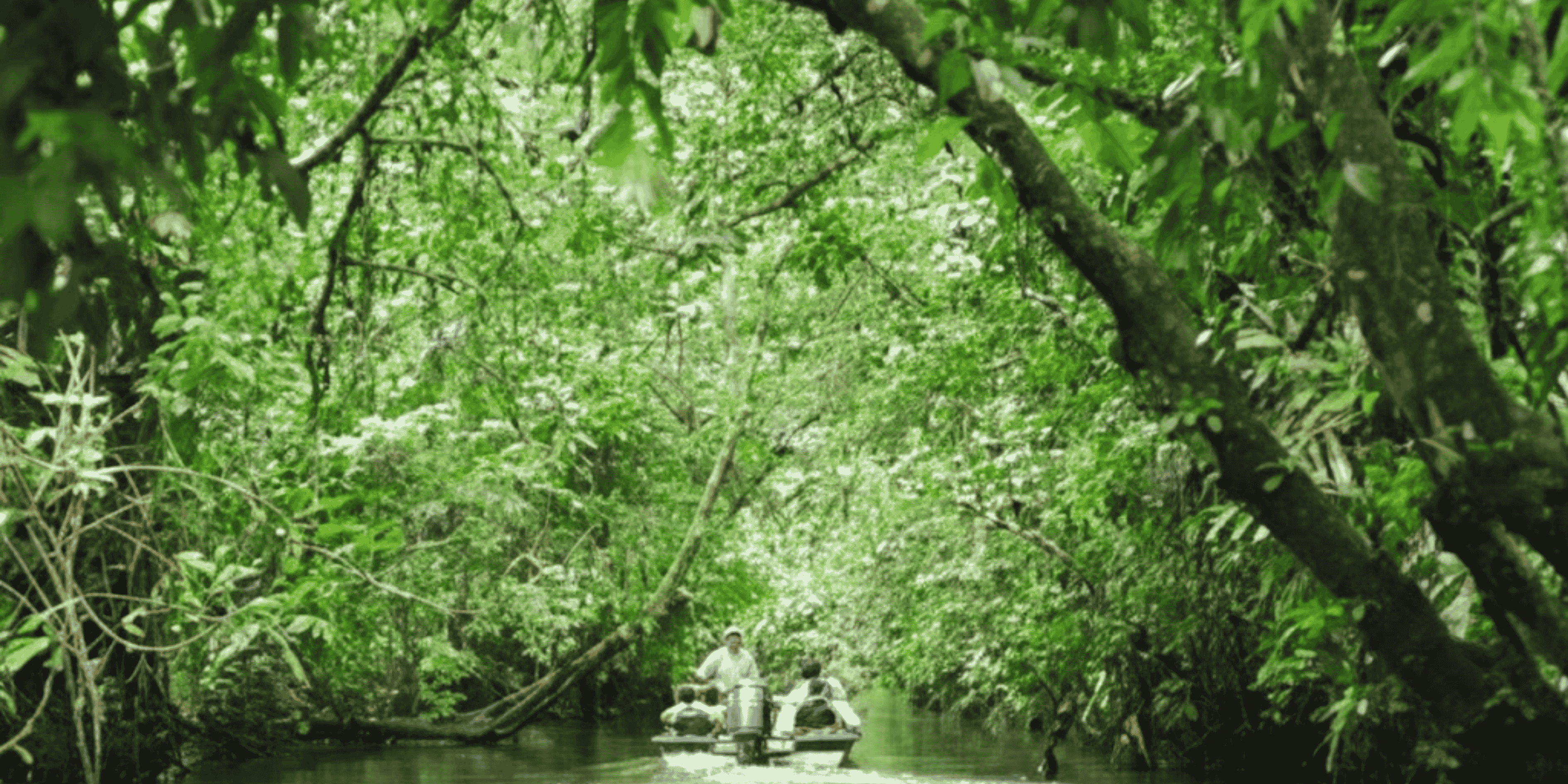 Tortuguero National Park