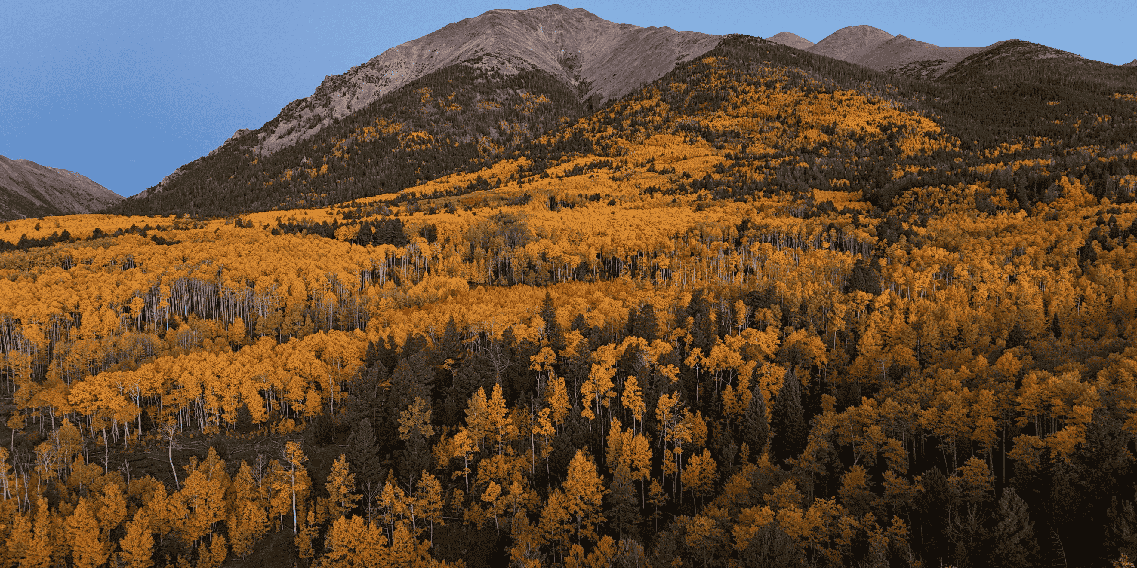 Why Colorado Is the Perfect Vacation Destination Year-Round 